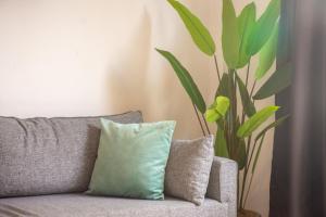 Firuzağa Retreat Studio in Beyoğlu