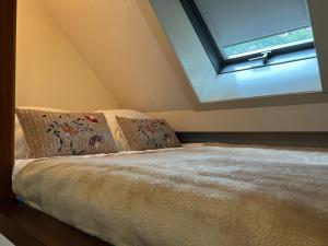 Koolmees - Between the trees!