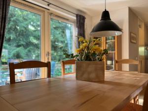 Koolmees - Between the trees!