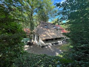 Koolmees - Between the trees!