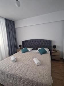 Craiova Residence Apartment