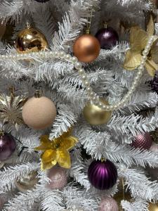 Experience in HappyPlace Photo Studio