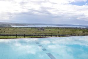 The 67 Escape, Elementaita