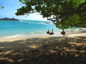 The Lotus House - Ahangama