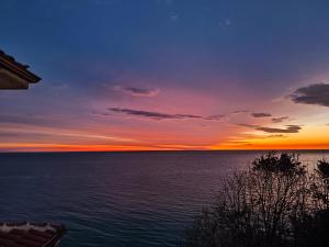 Byala sea view apartment Studio