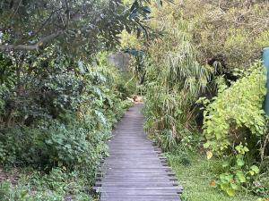 Olive Cottage Scarborough Seaside Village