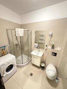 17 Zimbrului Residence at Lazar Towers Palas