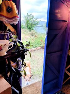 A Magical Cosy Garden Yurt