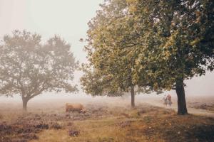 Vennenhof Wellness Bungalow | 6 personen