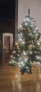 Loft Centro Ingresso Indipendente Giardino Privato