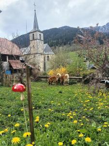 Une maison chaleureuse et accueillante au cœur de la Chartreuse