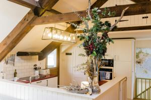 Meddyg y Mor Cwm Tydu