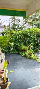 Peace wallaby beach home stay