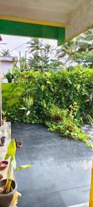 Peace wallaby beach home stay