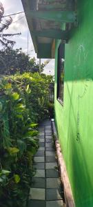 Peace wallaby beach home stay