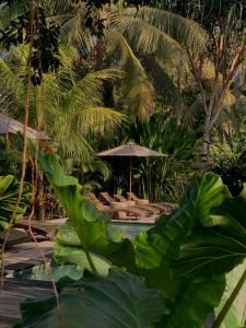 Udãra Hideaway Villa