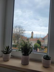 Charmant studio au cœur de ville