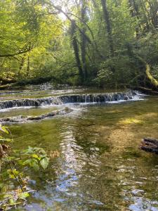 Cense des Possibles - chambre Forêt 2 personnes
