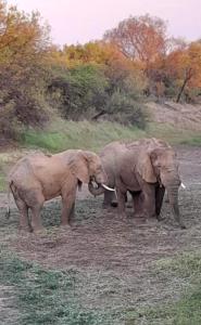River Ridge Log Home - Inside Dinokeng Big 5