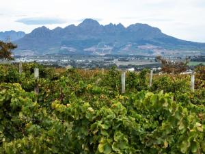 Gilgal Guest Accommodation