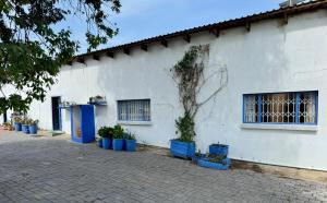 Eclectic Old-Fashioned Comfort