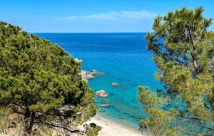 Nice Apartment In Ricadi With Wifi