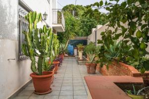 Eremo degli Oleandri with pool