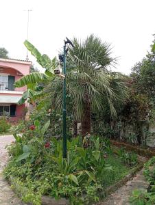 marinas home in village