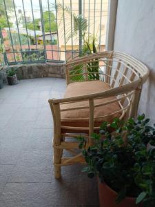 Rincon del Hornero