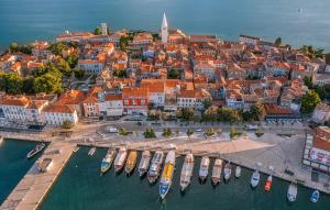 Beautiful Villa Rosalie with sauna near Porec