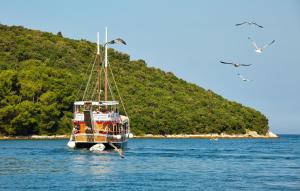 Beautiful Villa Rosalie with sauna near Porec