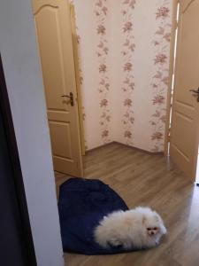 Однокімнатна квартира на Садовому з ліжком