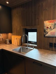 Hemsedal ski in ski out, modern comfort by the slopes