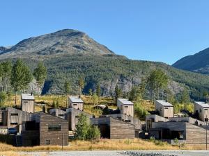Hemsedal ski in ski out, modern comfort by the slopes