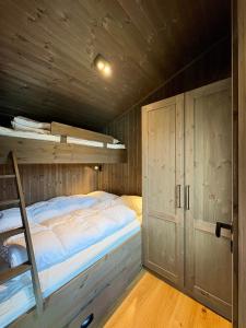 Hemsedal ski in ski out, modern comfort by the slopes