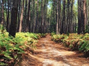Appartement T2 avec Terrasse et Parking - Vue Océan - FR-1-379-172