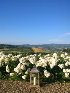 Rocca Ripesena 67, Orvieto, 05019, Italy.