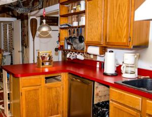 Spacious Cabin for a Group Getaway Overlooking Junior Lake in Florida