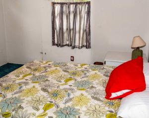 Spacious Cabin for a Group Getaway Overlooking Junior Lake in Florida