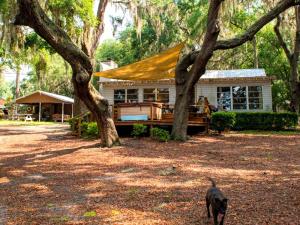 Spacious Cabin for a Group Getaway Overlooking Junior Lake in Florida