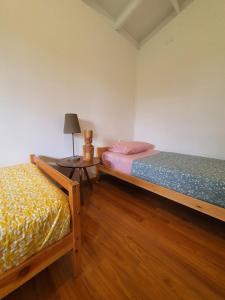 Puna Pau nui Sernatur