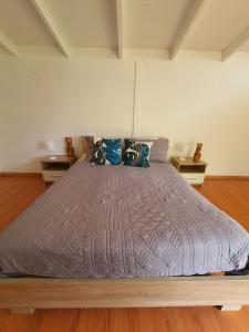 Puna Pau nui Sernatur