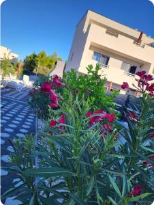 VillaELIAS - heated pool - jacuzzi-10 persons-boat tours - Luxury