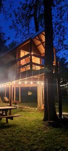 Tree House Glamping Destination near the Ozarks, with River Access for Swimming and Fishing