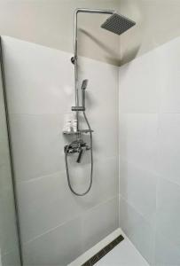 Urban Oasis on Terez blvrd