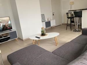 T2 Grande Terrasse à La Riche