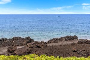 Surf and Racquet 1205