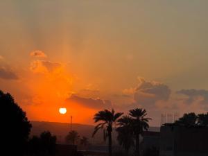 Magic Golden pyramids view