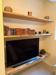 Apt intero e atrezzato con giardino