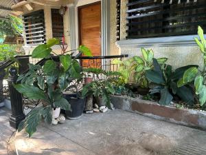 G Apartment - Standard Room